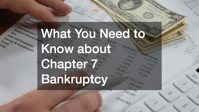 What You Need to Know about Chapter 7 Bankruptcy